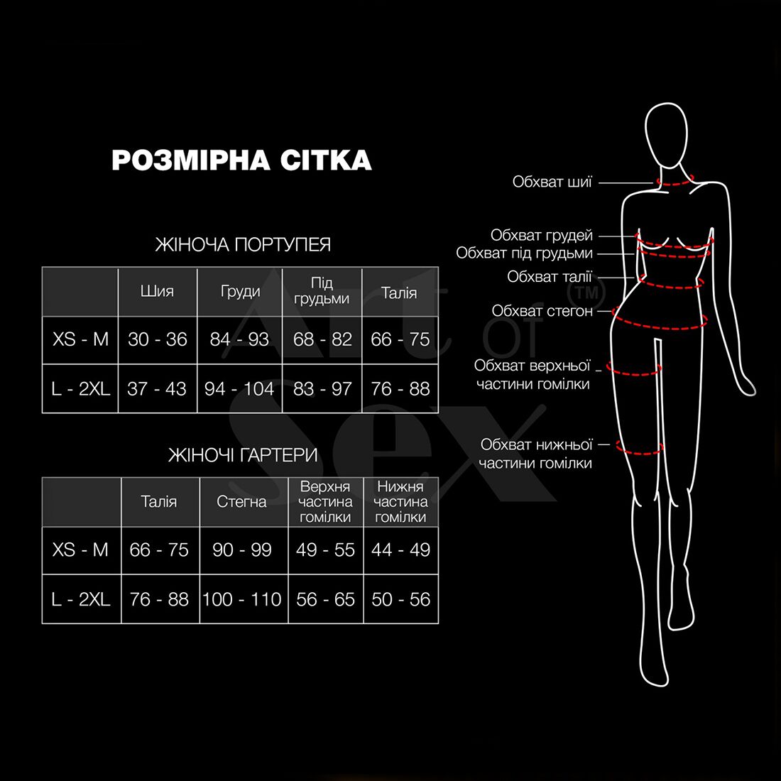 so8301 71888936370208.jpg